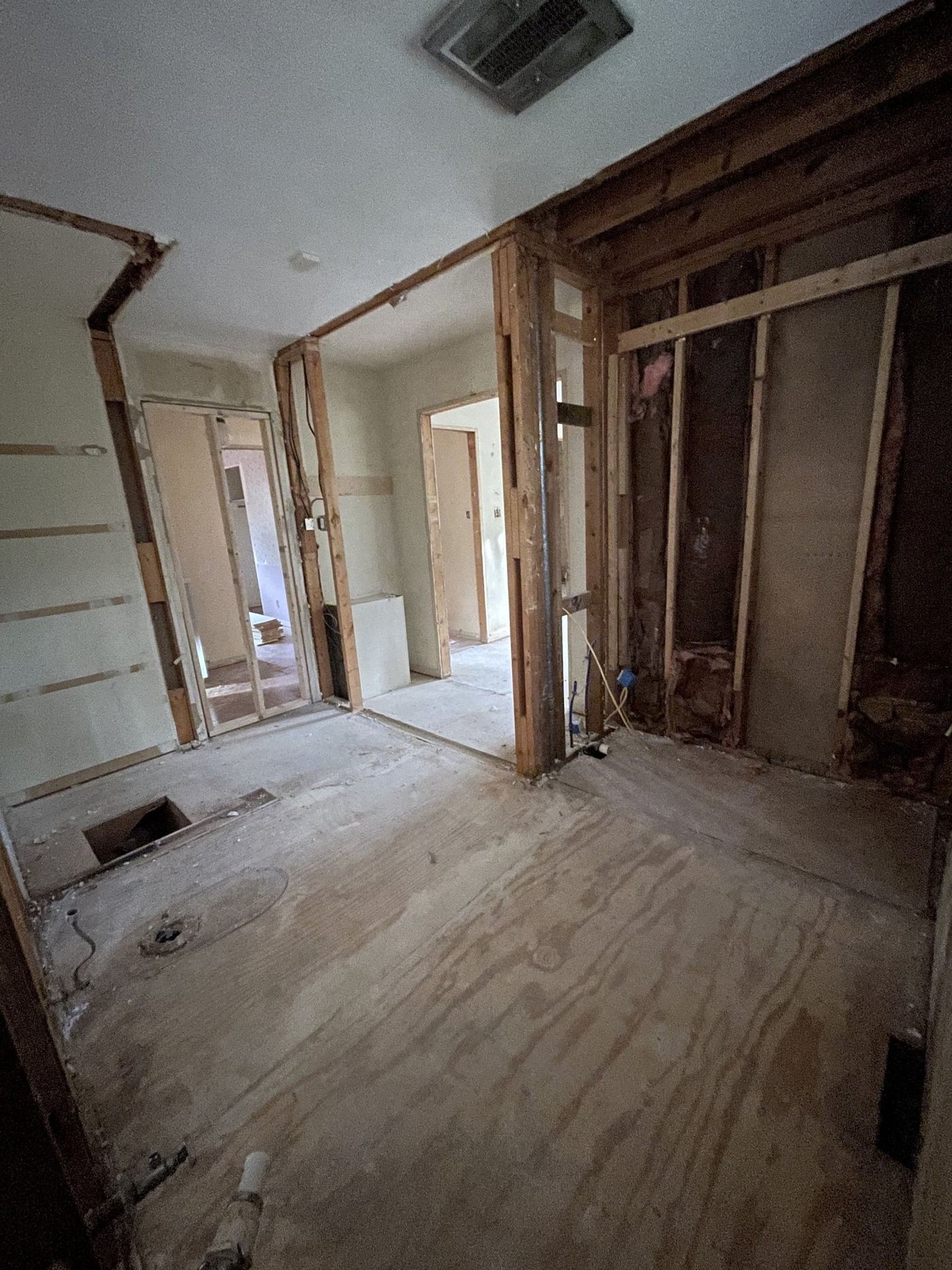 Bathroom demolition, Oak Ridge